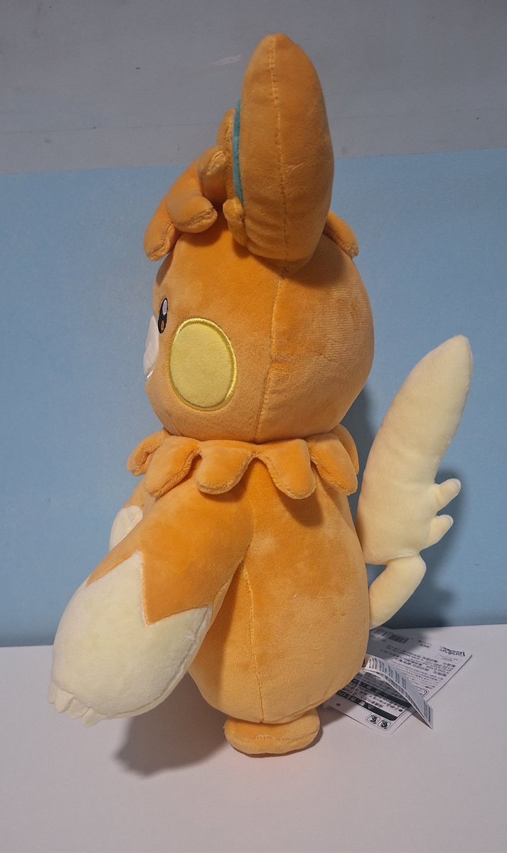 NateTheTrainer ⚡︎ tweet media