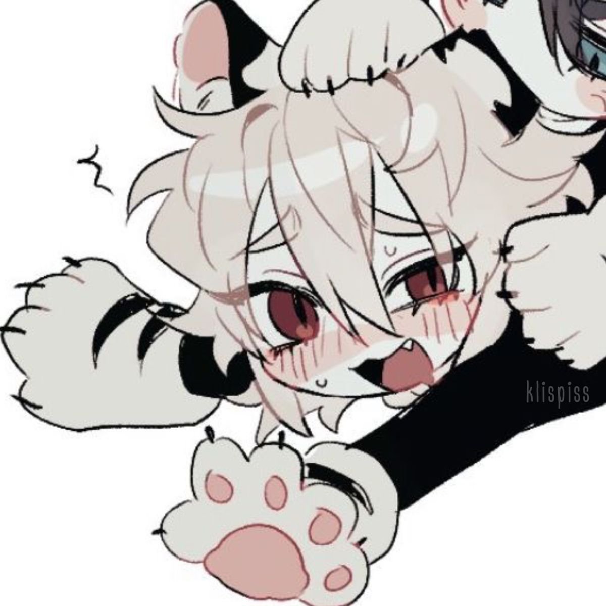 💿 CDStar🌟 tweet media