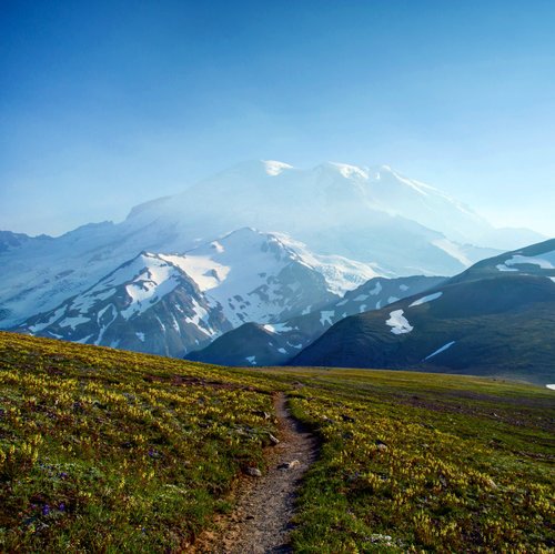 Visit Rainier tweet media