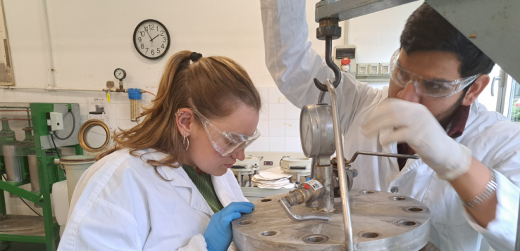 ZuZeu orainkaria tweet media