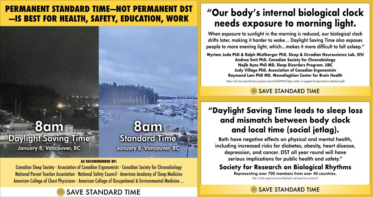 Laura Wershler tweet media