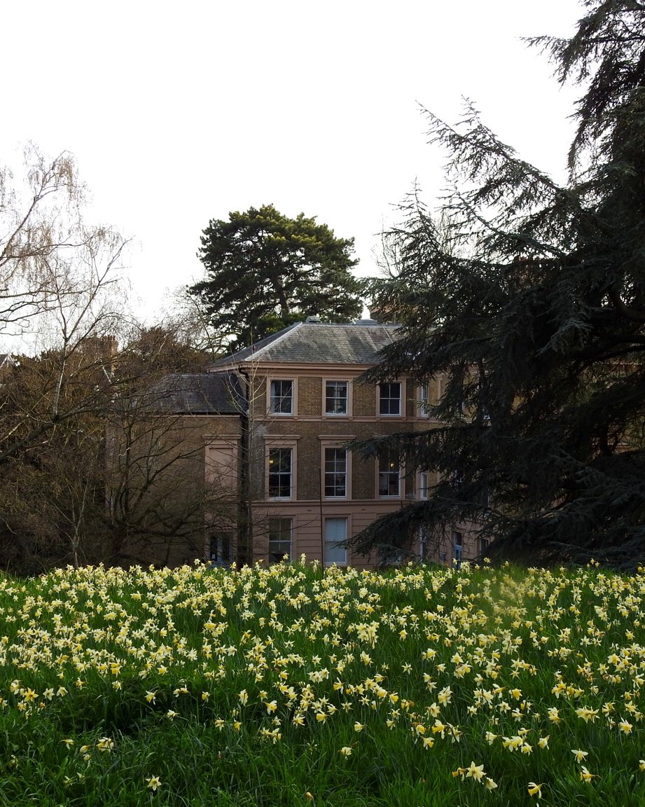 AlexSeale's tweet image. A quiet moment at the Royal Botanic Gardens, Kew 🌿

Daffodils across the grass, early spring light through the trees. 

© Alexander Seale

#KewGardens #LondonNature #SpringInLondon #London