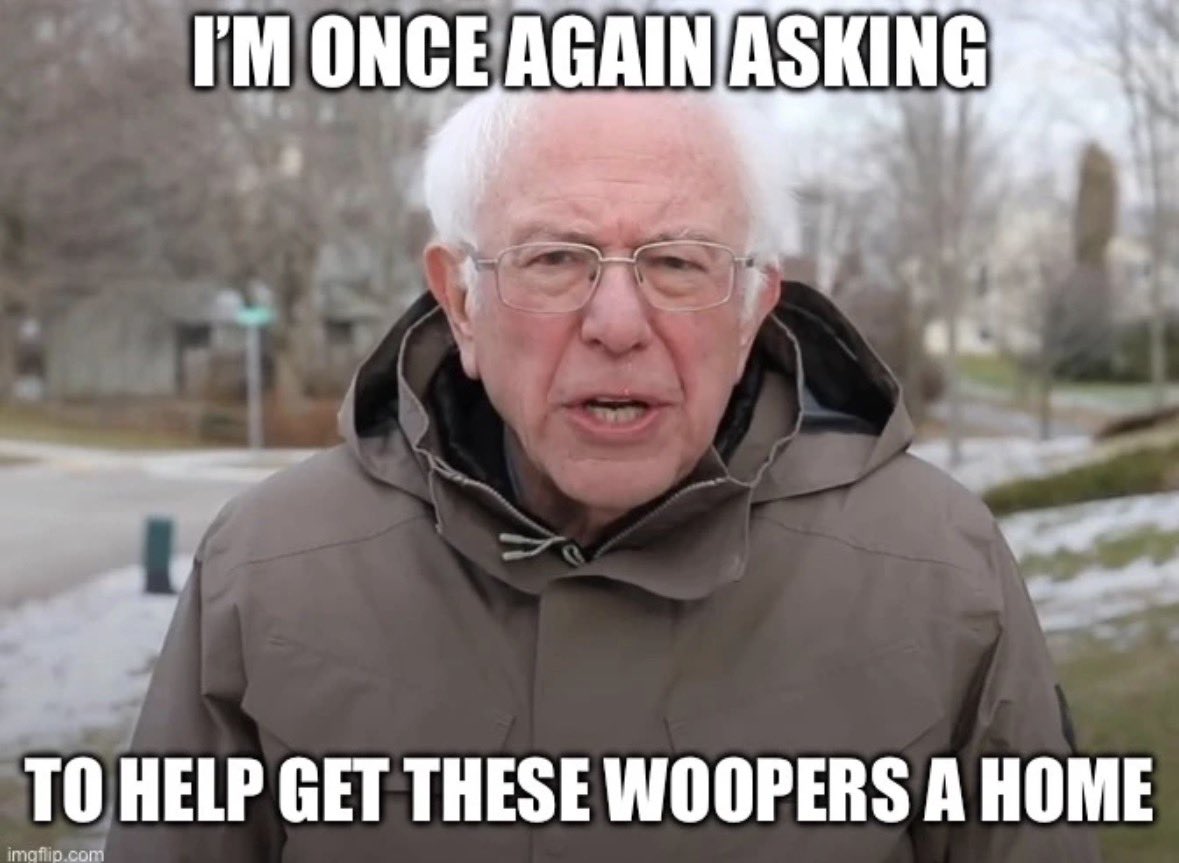 HappyKittyShop tweet media