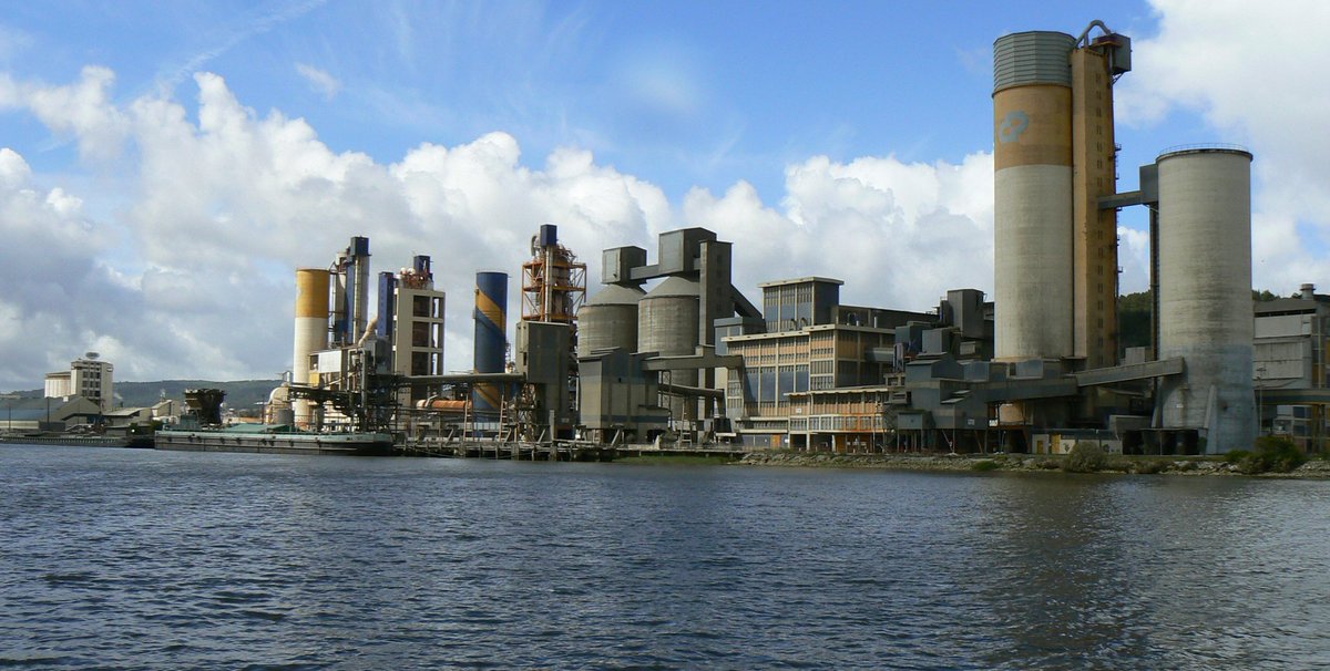 Tomás Ribeiro tweet media