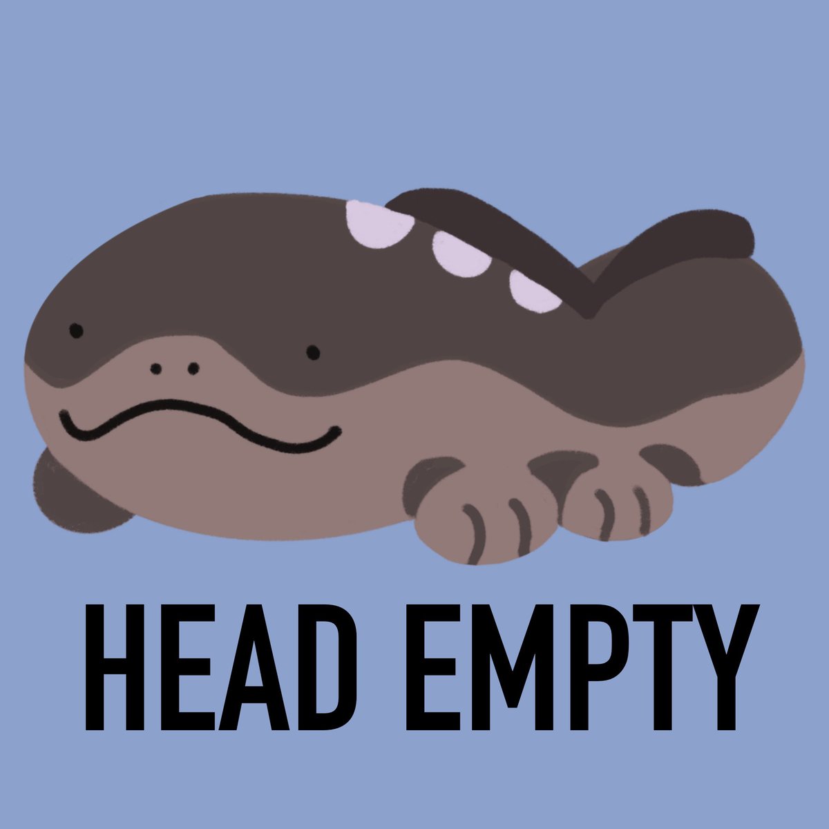 Capri Concha tweet media