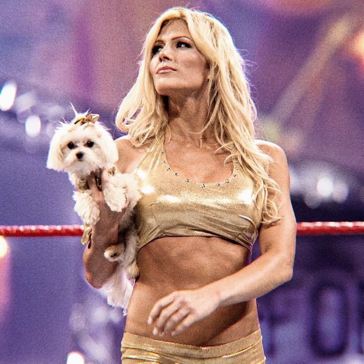 Women’s Wrestling Brasil tweet media