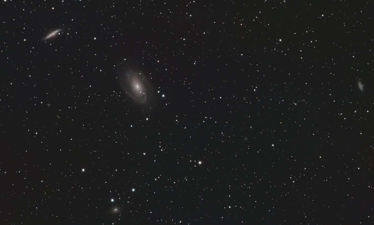 Leon1984 tweet media