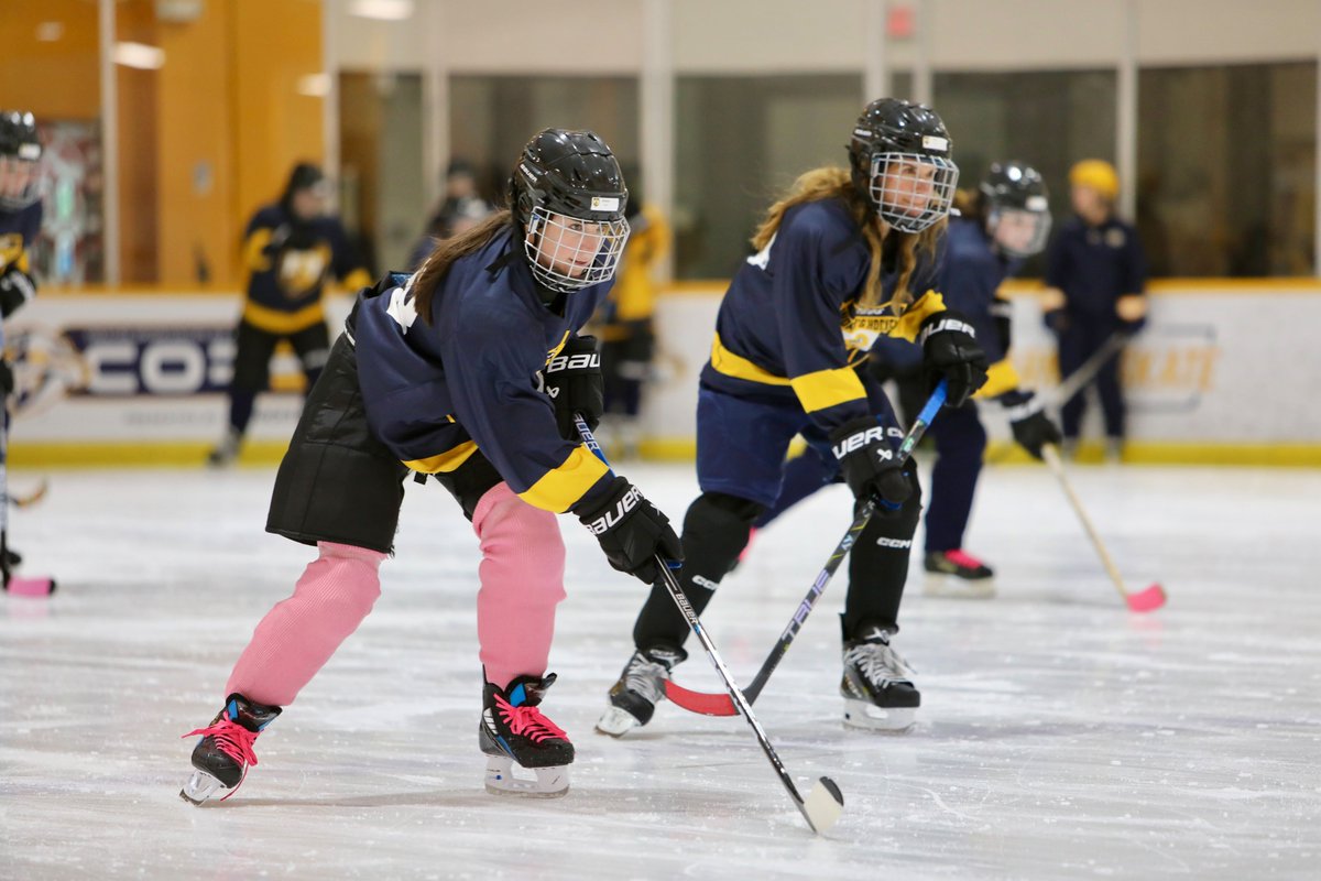 Ford Ice Center tweet media