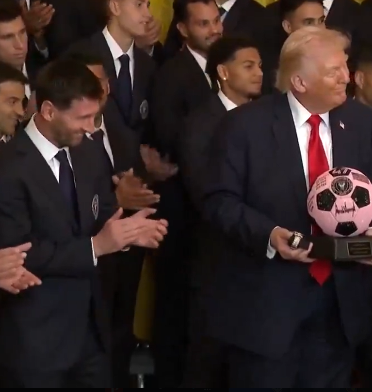 ✦✦✦ 𝙿𝚊𝚖𝚙𝚑𝚕𝚎𝚝𝚜 ✦✦✦ tweet media