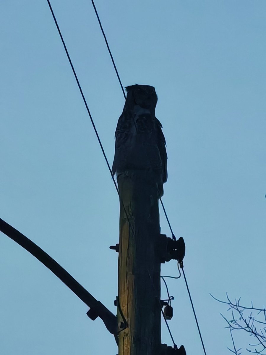 FOS l Lexius 🤴🇨🇦 tweet media