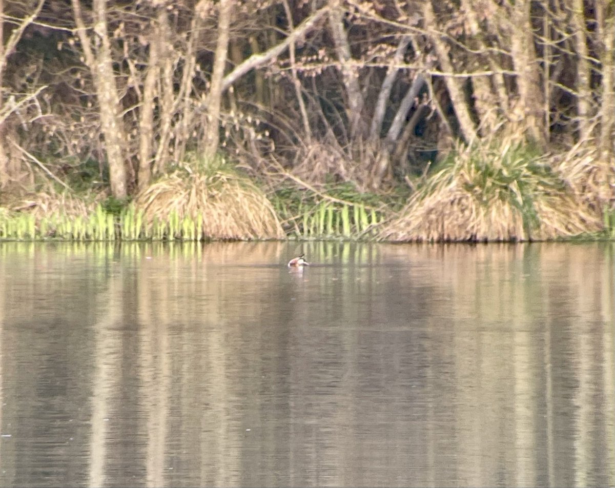 Neil Burt tweet media