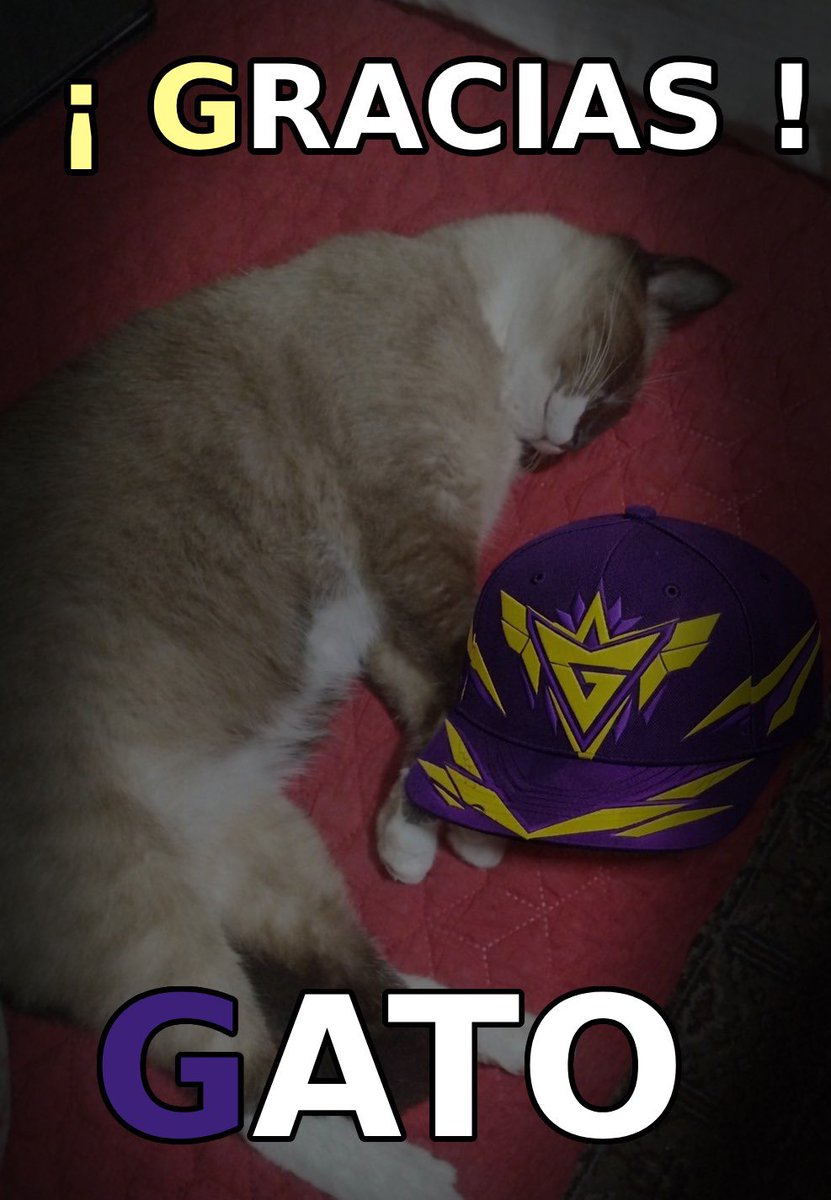 G3V E-sports tweet media