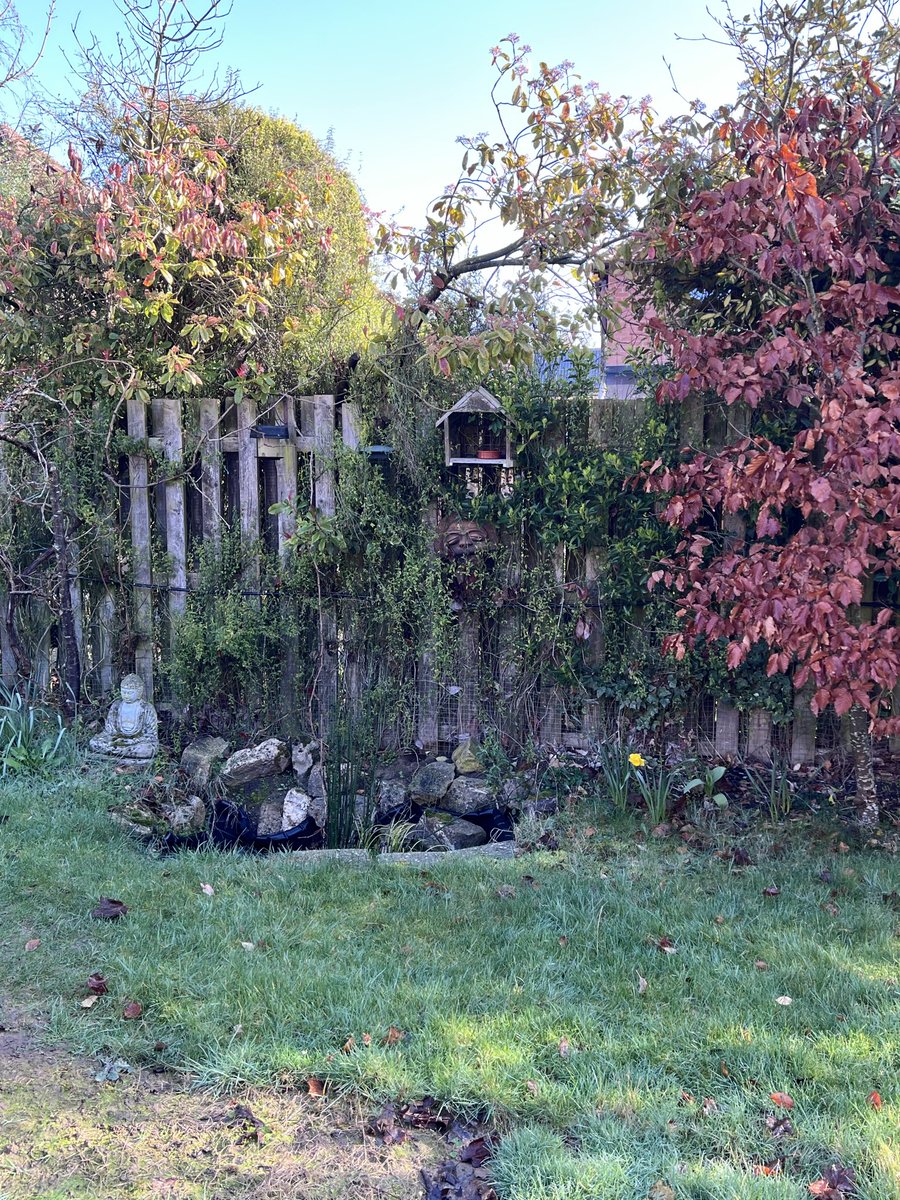 AnneMGoldsmith's tweet photo. I also had a lovely first session with a 9 year old boy who really didn’t want his session before I arrived and when I first arrived, as he was very tired after school and wanted to relax. Yet at the end of the hour he said he really enjoyed it. https://t.co/jJvKTYYvsO