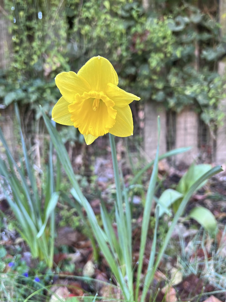 AnneMGoldsmith's tweet photo. I also had a lovely first session with a 9 year old boy who really didn’t want his session before I arrived and when I first arrived, as he was very tired after school and wanted to relax. Yet at the end of the hour he said he really enjoyed it. https://t.co/jJvKTYYvsO
