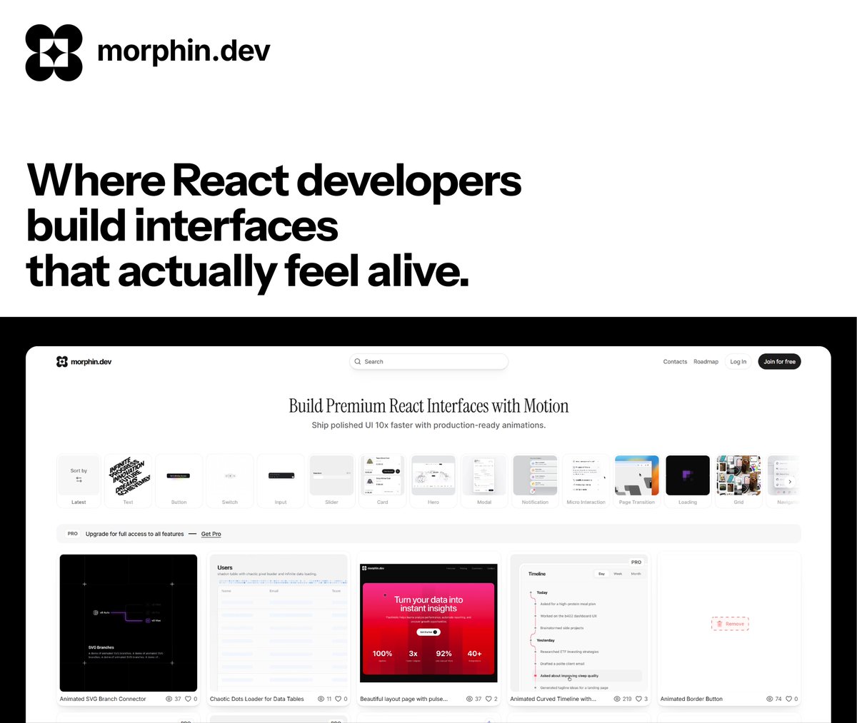 Morphin.dev tweet media
