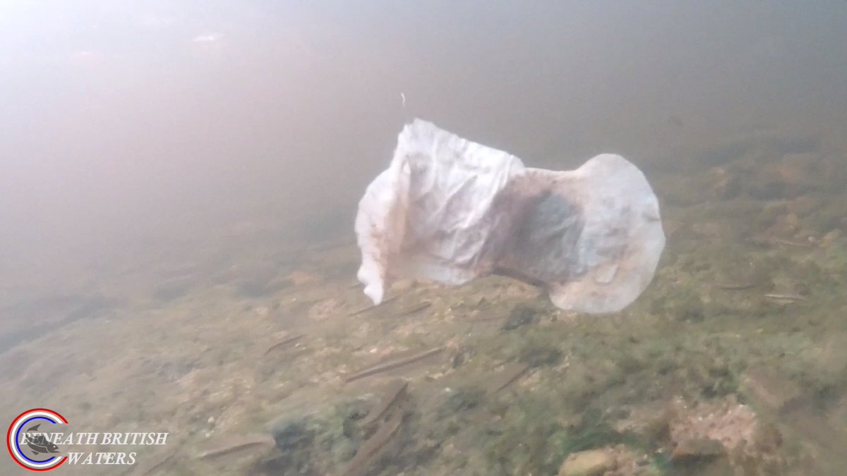 UnderwaterMedia's tweet image. Still a little early in the season for filming fish underwater in the rivers so we are heading out to film the Great Sanitary Migration, at a river near you.
#pollution #sewage #rivers