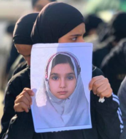 ✦✦✦ 𝙿𝚊𝚖𝚙𝚑𝚕𝚎𝚝𝚜 ✦✦✦ tweet media