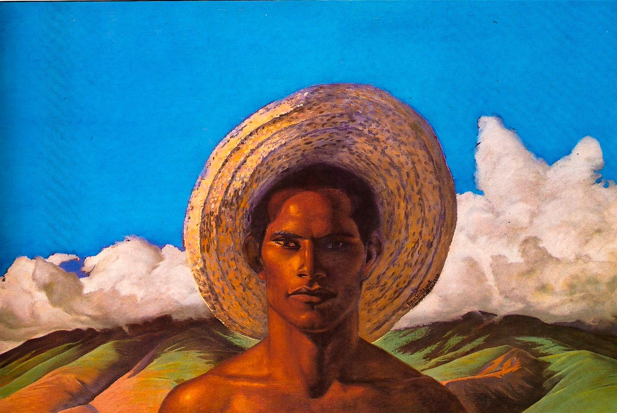 Guacamayo Peregrino tweet media