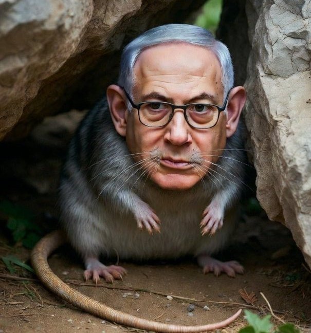 Maria86149's tweet photo. @alakhbaryt95128 #GetNetanyahu https://t.co/YD7xtWb7WV