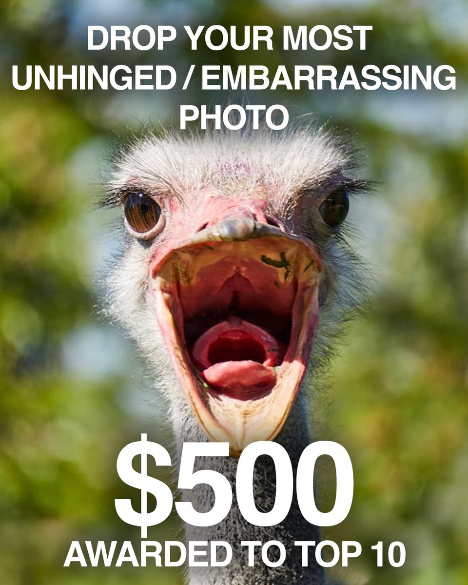 CreatorDAO 🚀 tweet media