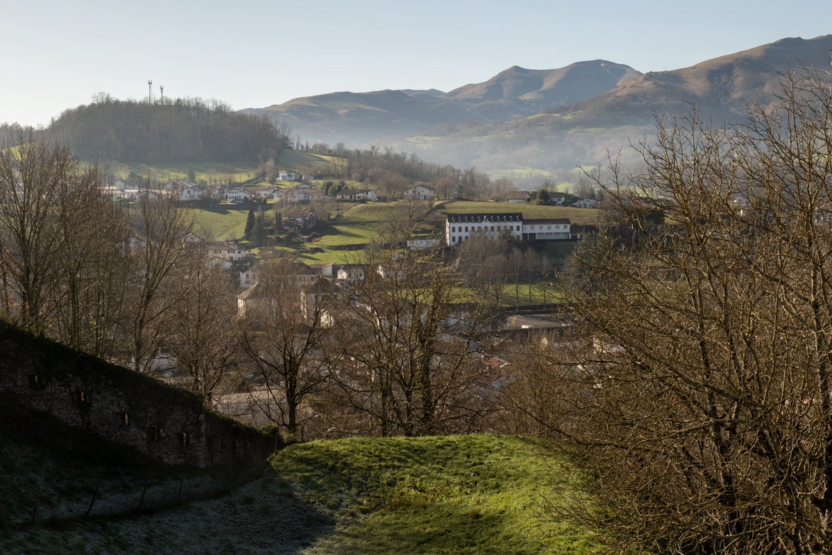 Raphael Barberi📷 tweet media