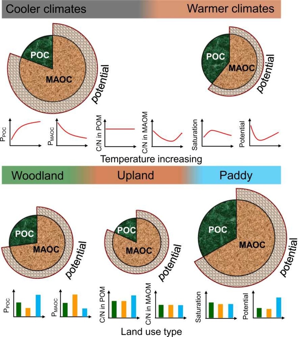ykuzyakov's tweet image. NEW in @soilandtillageresearch
Actual and potential #carbon #sequestration in topsoils of eastern China
doi.org/10.1016/j.stil…

50-day Free: authors.elsevier.com/c/1mjJGc13ygv65

#SoilOrganicMatter #SoilOrganicCarbon #soil #agriculture #landuse