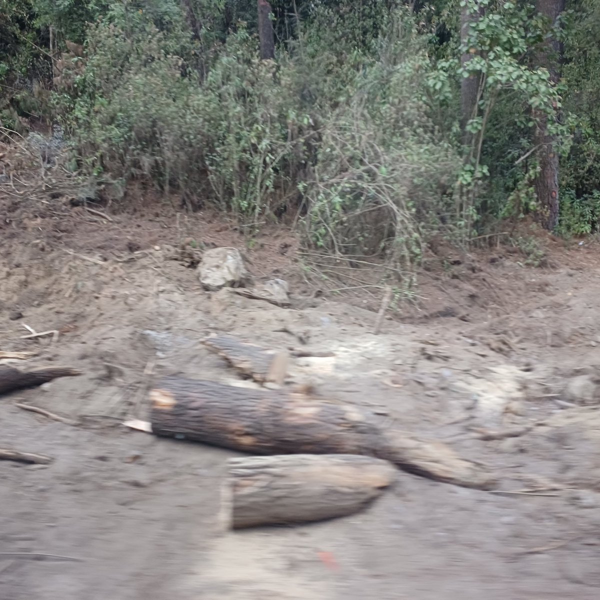 Oigan no es por asustarlos pero... Creo que ya mandaron a hacer más uruk-hais en el Edomex 😰😰😰😰