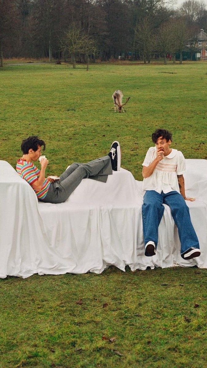 Harry Styles Brasil 💋🪩 tweet media