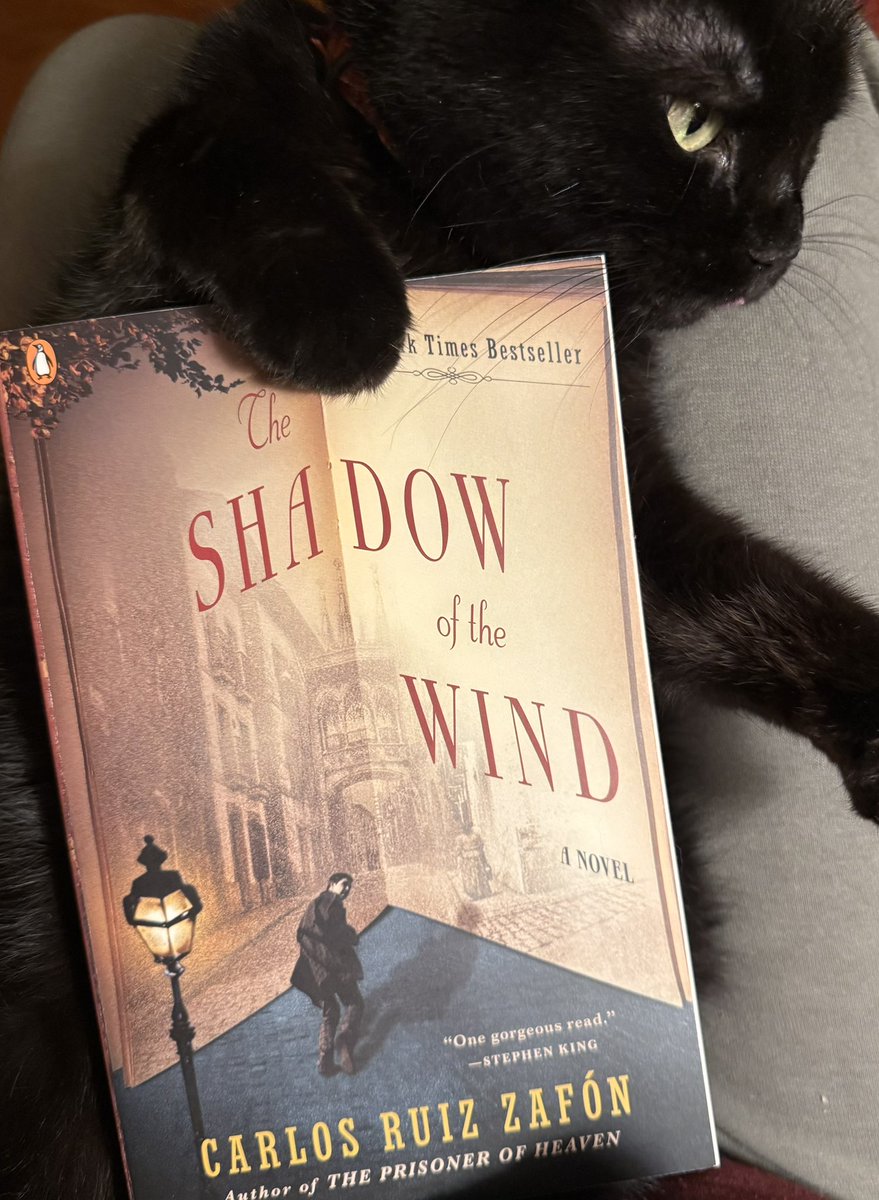 Peterinch tweet media