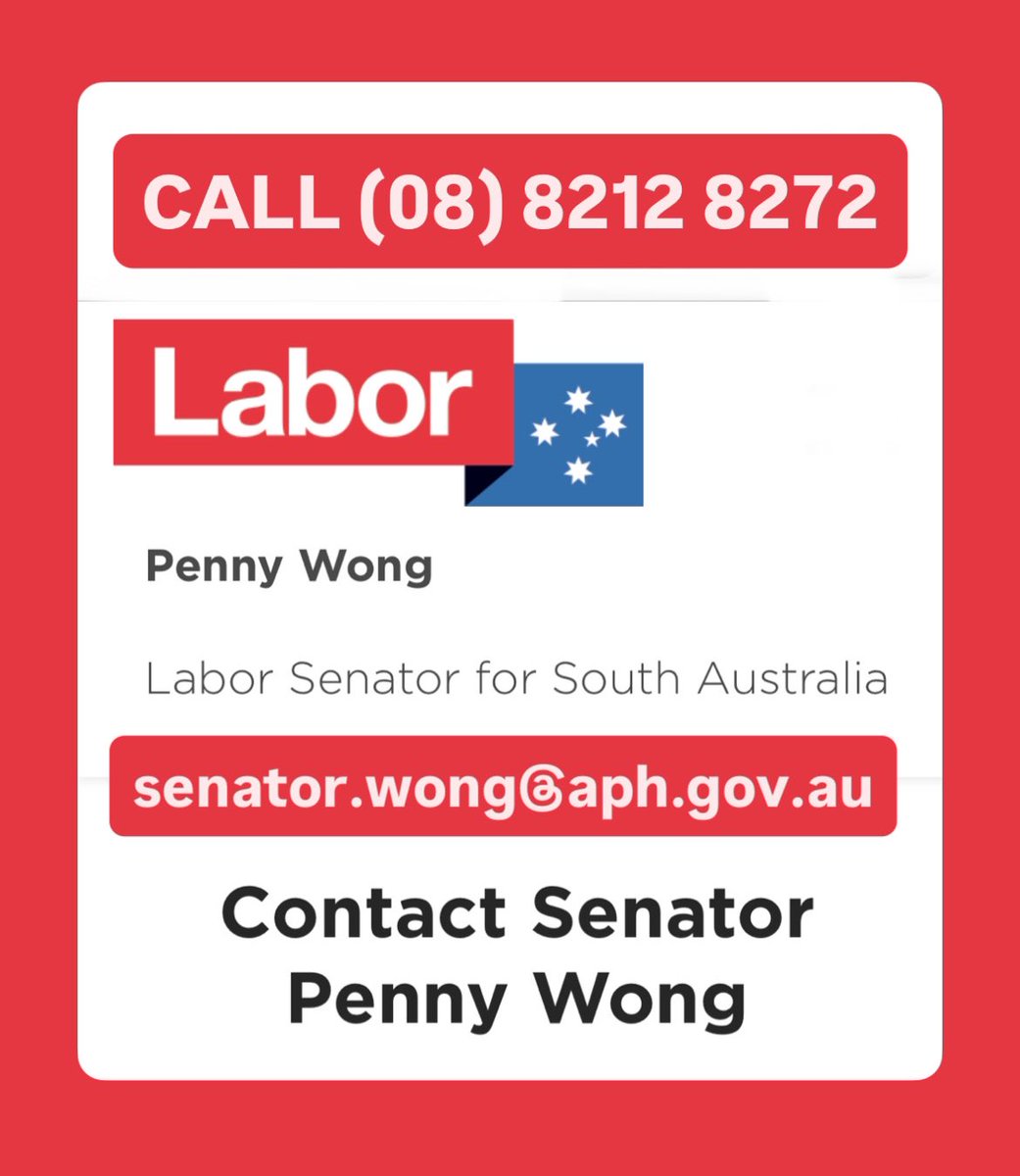 Nadine نادين 🇵🇸🇱🇧 tweet media