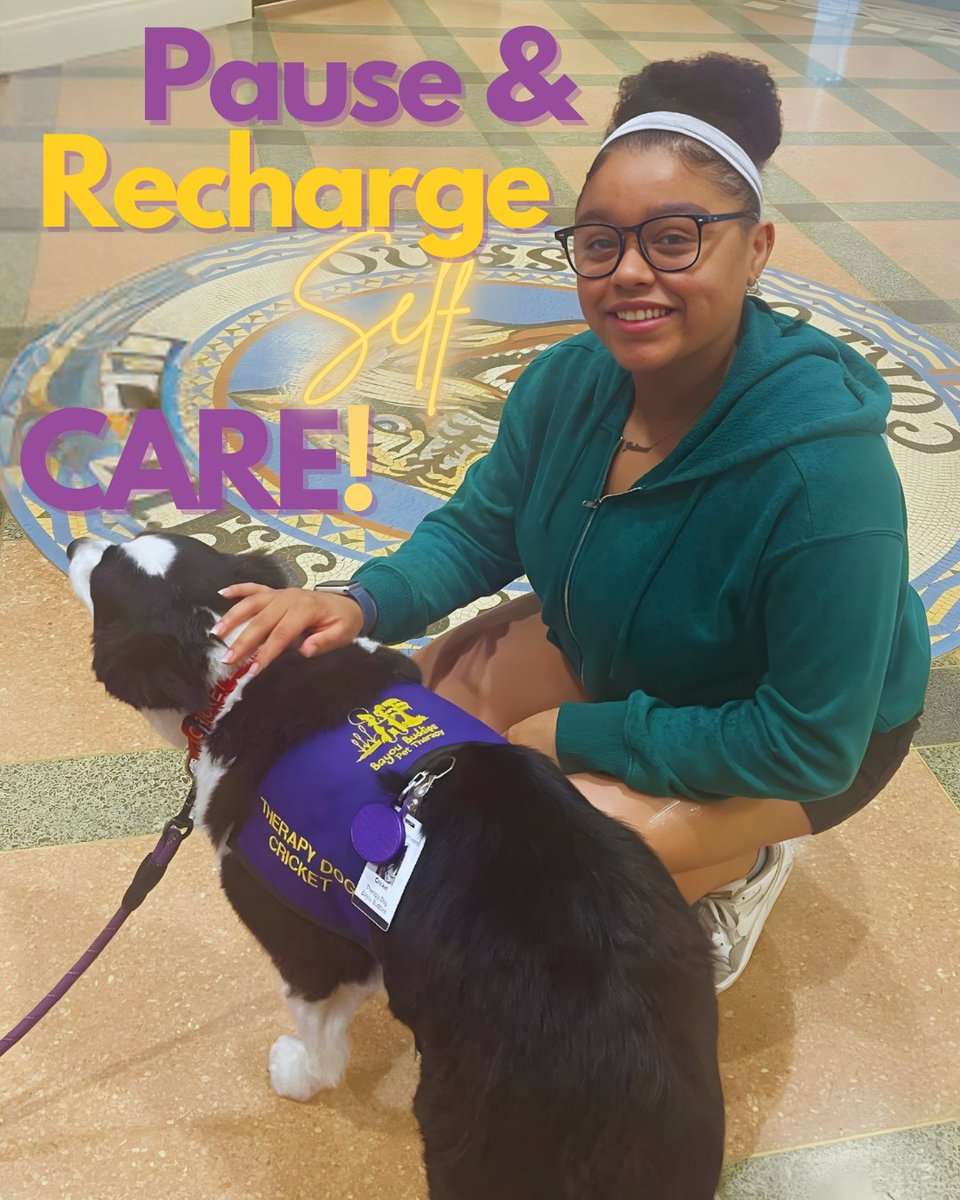 Lutrill & Pearl Payne School of Education tweet media