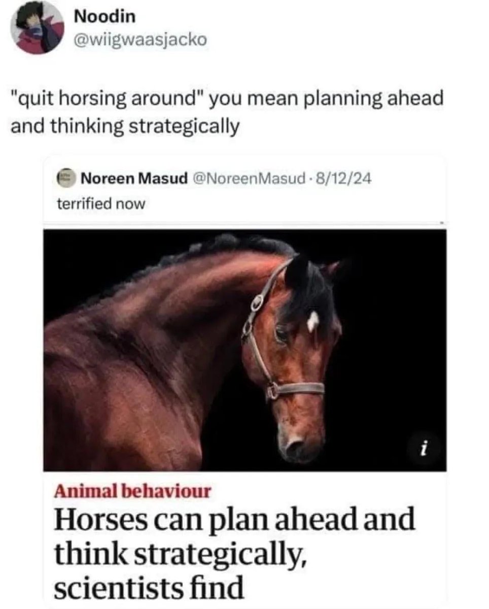 no context memes (@weirddalle) on Twitter photo 