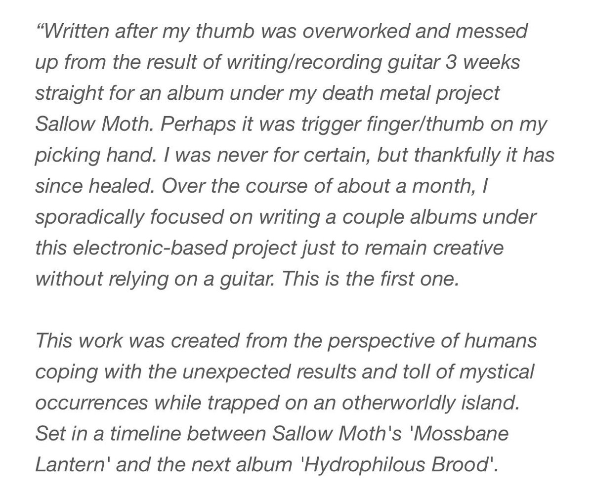 Garry B. (SALLOW MOTH) tweet media