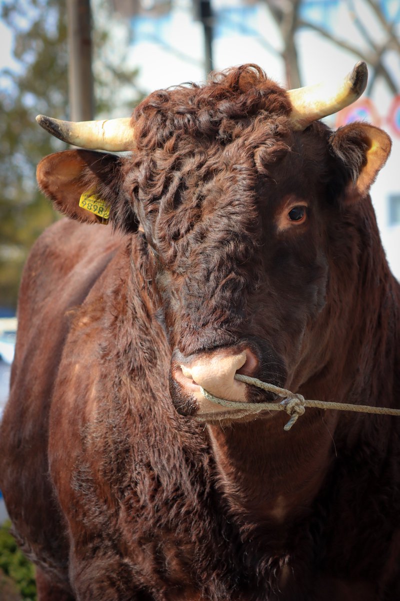 岩手県広聴広報課【サブ】 tweet media