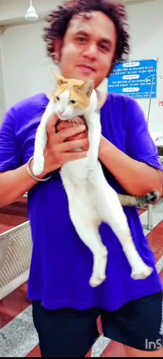 chawlacsk's tweet photo. This cat is the (HOM) head of management in #TataMemorialHospital , Mumbai https://t.co/8RSDr0v1IU