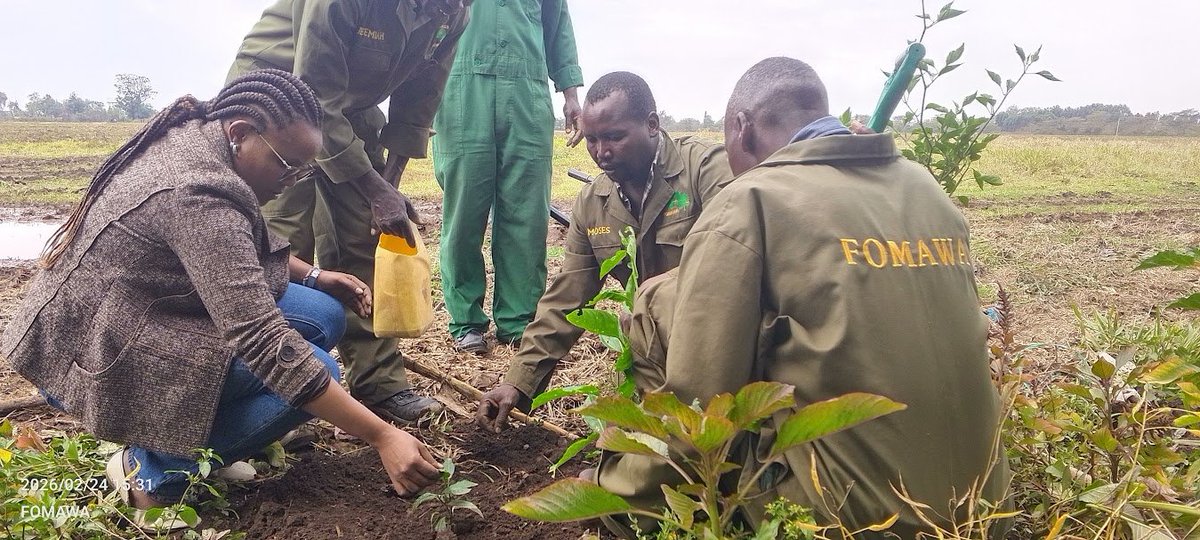 Friends of Mau Watershed (FOMAWA) tweet media