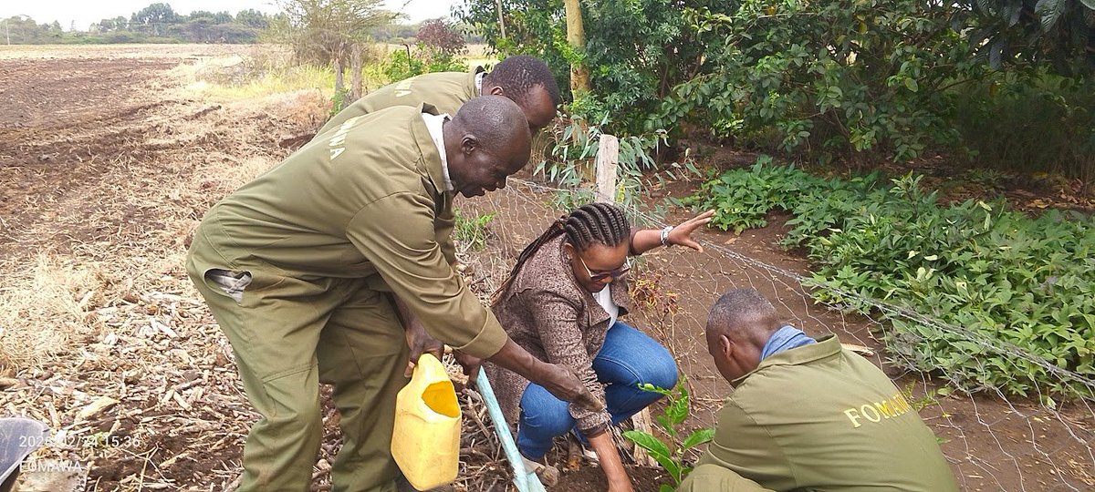 Friends of Mau Watershed (FOMAWA) tweet media