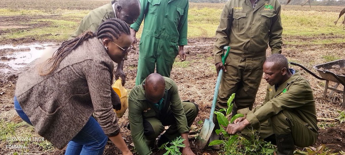 Friends of Mau Watershed (FOMAWA) tweet media