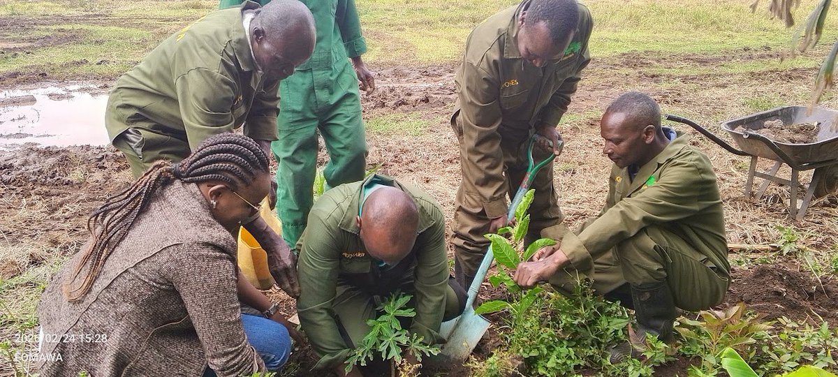Friends of Mau Watershed (FOMAWA) tweet media