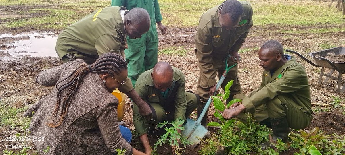 Friends of Mau Watershed (FOMAWA) tweet media