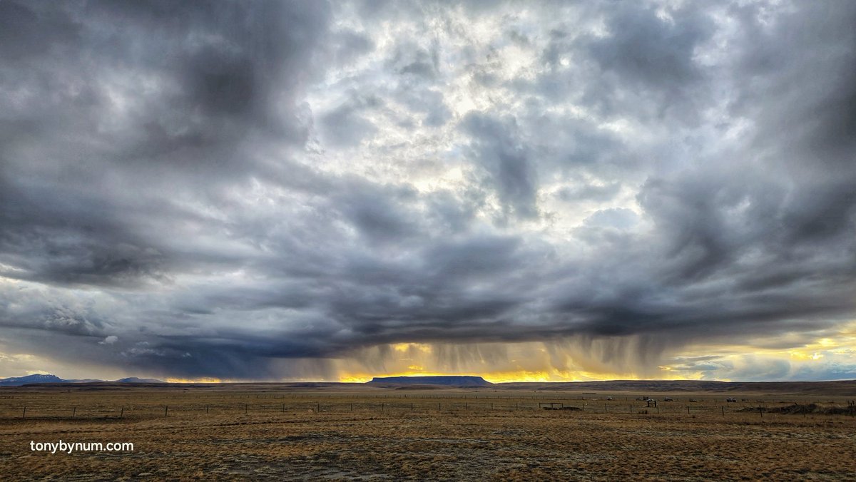 TonyBynum's tweet image. Say what you want about climate change spring has arrived in Montana.