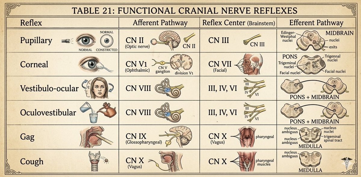 Dr. Shiv_Kumar tweet media