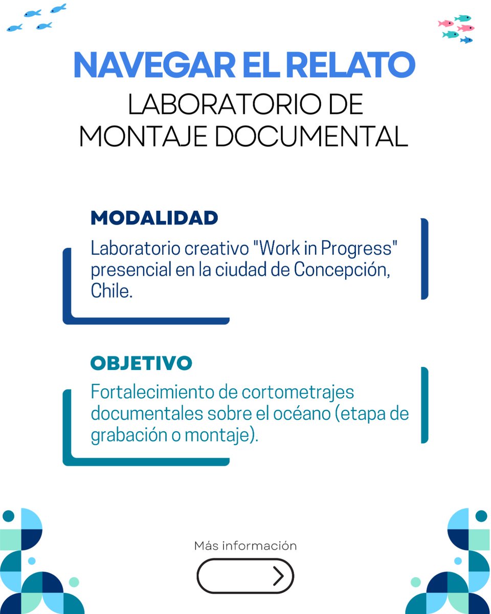 Festival Internacional de Cine del Mar tweet media