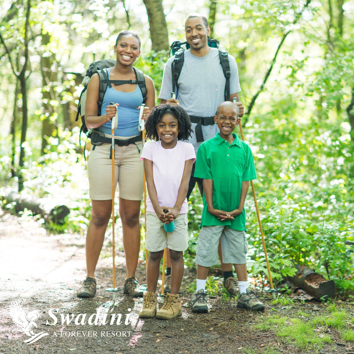 Swadini, A Forever Resort tweet media