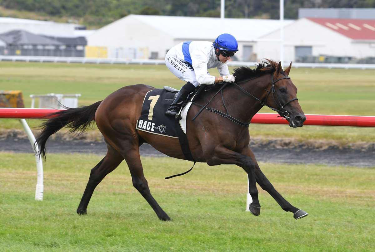 Stud syndicate swoops on Champion Three-Year-Old Savaglee. 
 
A syndicate headed by Windsor Park Stud, Mapperley Stud &amp; Lion Rock Bloodstock have secured Champion Three-Year-Old SAVAGLEE as he begins the next chapter of his career at stud.
 
The son of 10-time champion sire