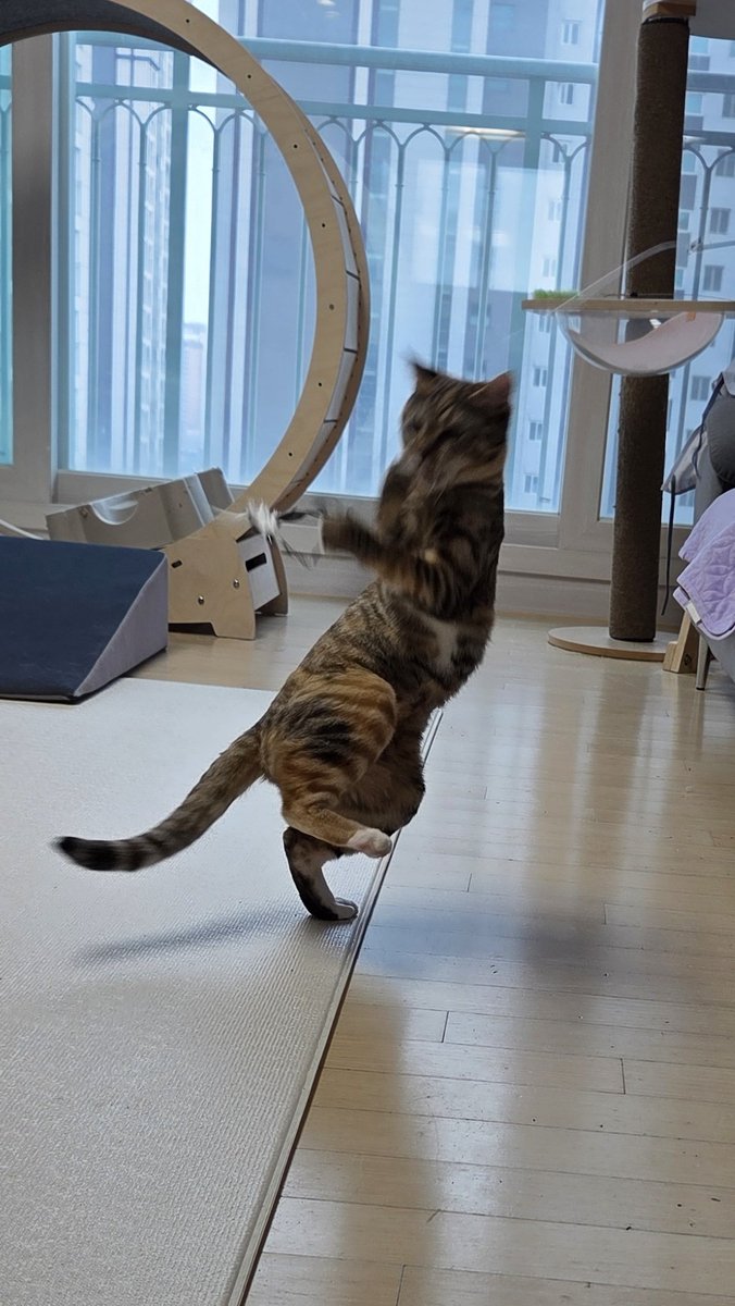 쏠티네나비랑 (@salty_and_navi) on Twitter photo 