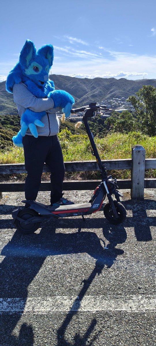 Zolfarius tweet media