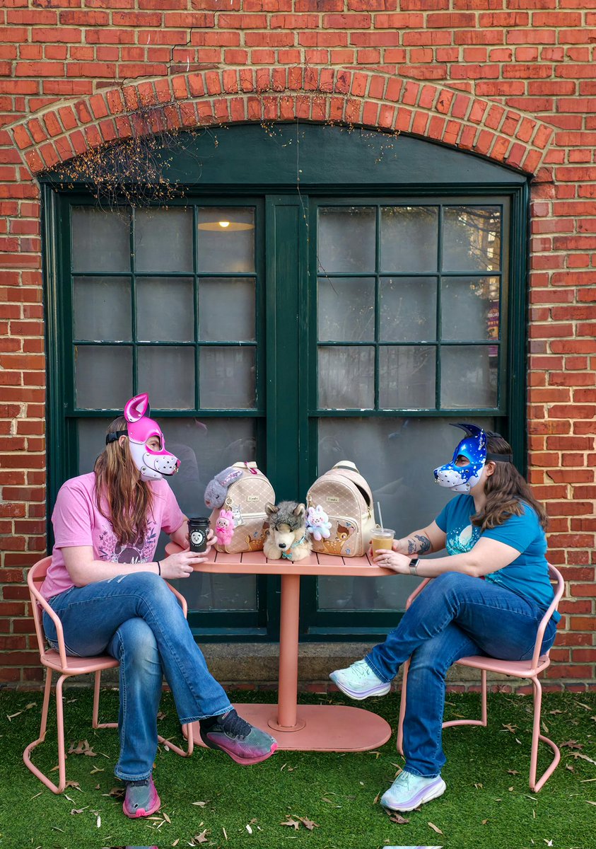 MyPuppyLife tweet media