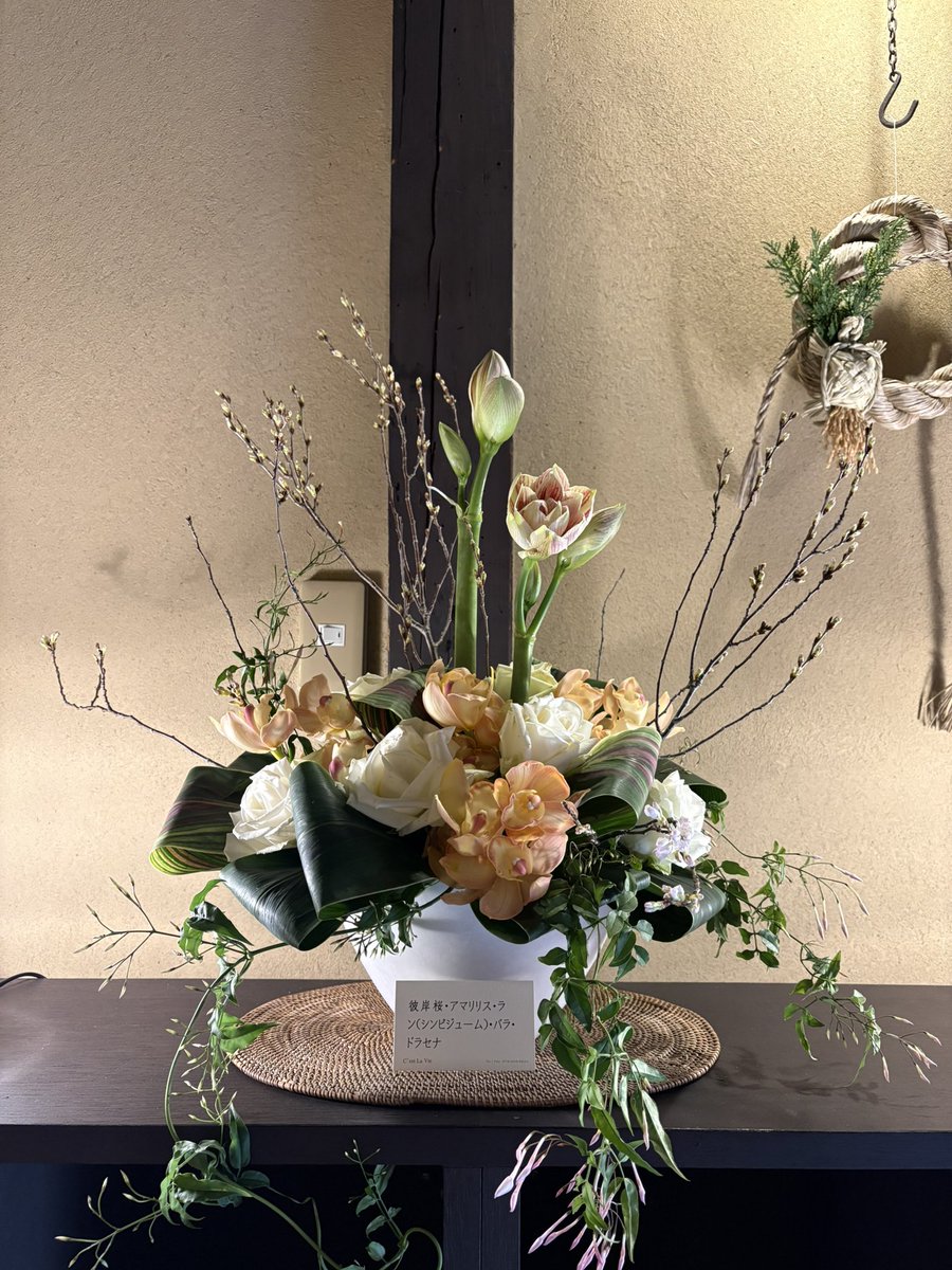 セラヴィさんから素敵なお花が届きました🫶🏻🌟
3月の1週目もあっという間に終わりそうですね🥹
花粉症に苦しむスタッフです...🤧🌲

 #acocafe 
 #おたかつ 
 #花粉症