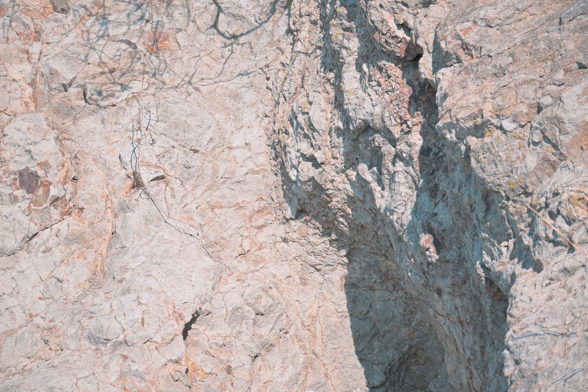 べりる tweet media